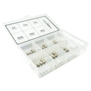 Glass fuse assortment in selection box, 36 fuses and 2 fuse box connectors